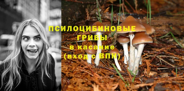 мяу мяу мука Арсеньев