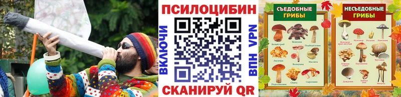 Псилоцибиновые грибы мухоморы  площадка состав  Суворов  MEGA маркетплейс 